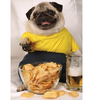 BD/Pug With Chips and Beer