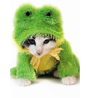 BL/Kitty Frog