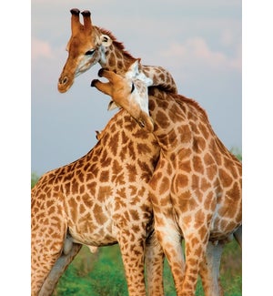 AN/Giraffes