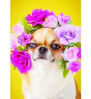 WD/Dog with Flower Crown