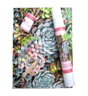 PAINTKIT/Sensitive Succulents