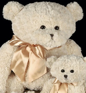 BEAR/Big Huggles
