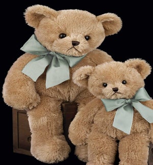 BEAR/Gus
