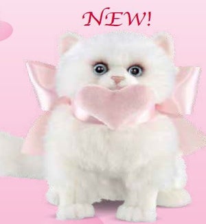 CAT/Pretty Purrfect