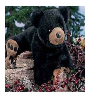 BEAR/Rocky