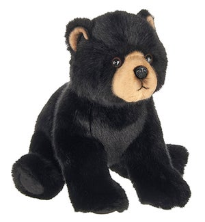 BEAR/Asher
