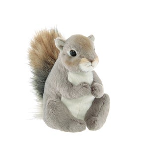 SQUIRREL/Lil' Peanut Squirrel