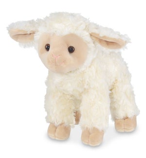 SHEEP/Merino