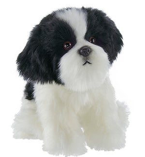 DOG/Butch Havanese