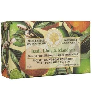 SOAP/Basil Lime Mandarin