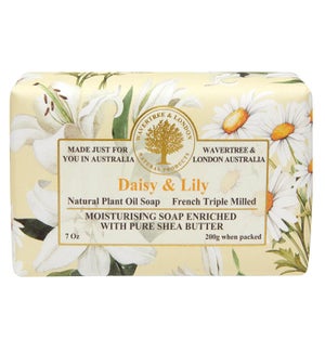 SOAP/Daisy Lily