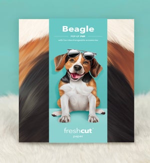 PET/Beagle