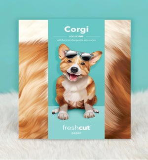 PET/Corgi