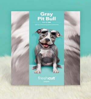 PET/Gray Pit Bull