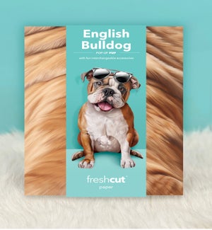 PET/English Bulldog