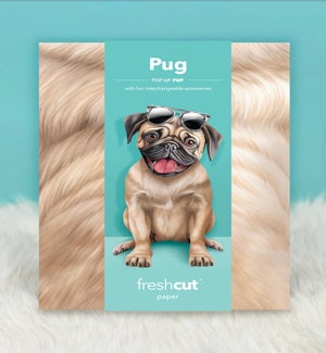 PET/Pug