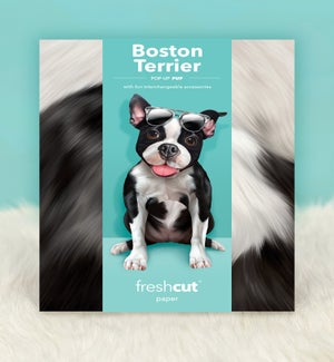 PET/Boston Terrier