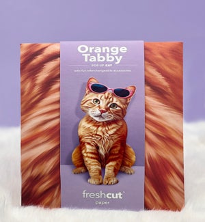 PET/Orange Tabby Cat
