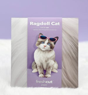 PET/Ragdoll Cat