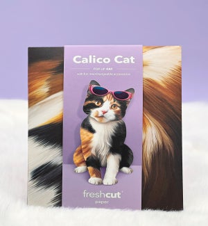 PET/Calico Cat