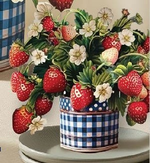 SAMPLE/Strawberry Blossom