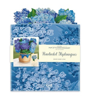 POPUP/Nantucket Hydrangea