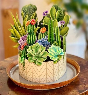 SAMPLE/Cactus Garden