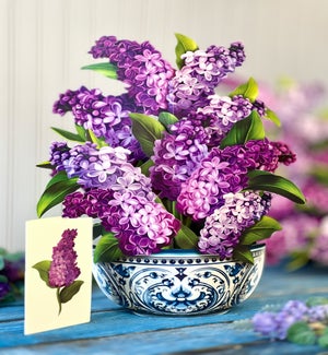 SAMPLE/Garden Lilacs