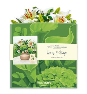 POPUP/Ivory & Sage