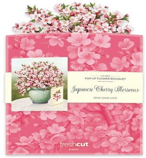 POPUP/Japanese Cherry Blossoms