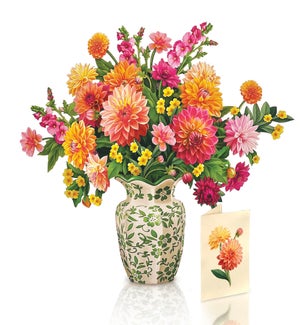 POPUP/Dahlia Sunrise