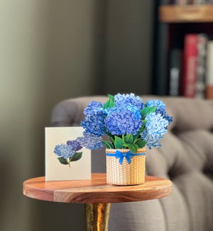 MINISAMPLE/Nantucket Hydrangea