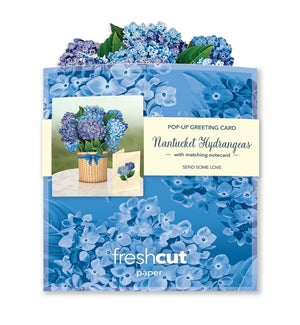 MINIPOPUP/Nantucket Hydrangea