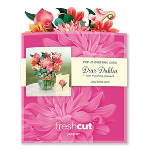 MINIPOPUP/Dear Dahlia
