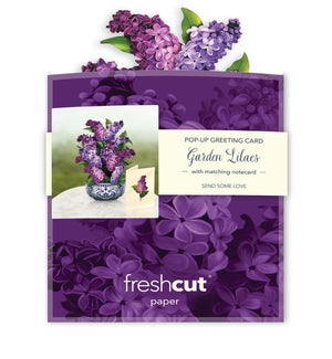 MINIPOPUP/Garden Lilacs