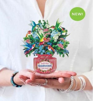 MINIPOPUP/Hummingbird Oasis