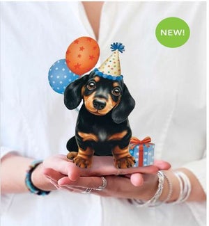 MINIPOPUP/Birthday Puppy