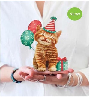 MINIPOPUP/Birthday Kitten