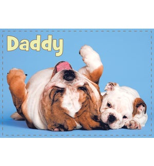 RBD/Bulldog Dad and Puppy