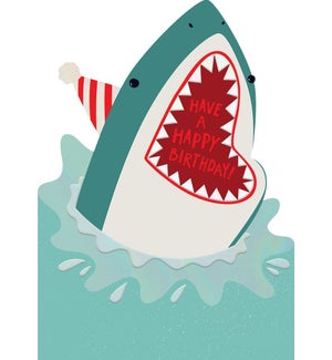 BD/Birthday Shark