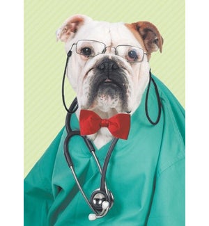GW/Dog Doctor
