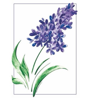 EN/Watercolor Lilac
