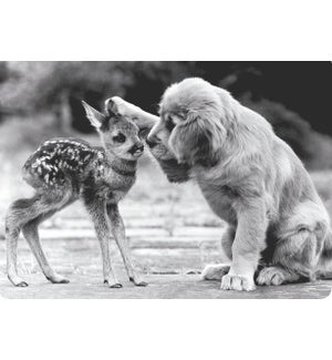 EN/Puppy with Deer
