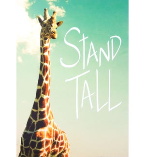 EN/Stand Tall