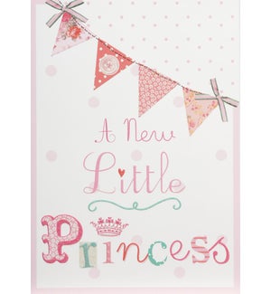 NB/A New Little Princess