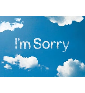 AP/I'm Sorry in Clouds