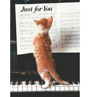 TY/Ginger Kitten on Piano