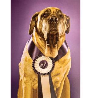 CO/Congrats Top Dog