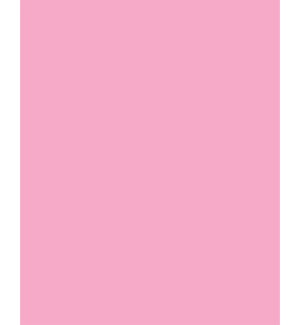 TISSUE/Raspberry Pink Solid