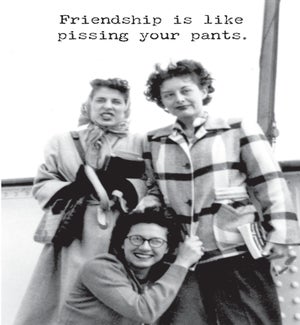 FR/Friendship Is Like
